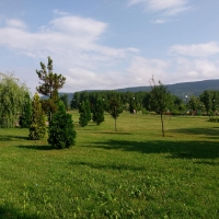 Социално предприятие за озеленяване и благоустройство създава Община Севлиево