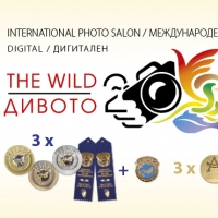 Деветият международен фотосалон "Дивото" тази година се провежда с подкрепата на Община Севлиево