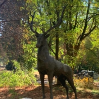 Ремонтираха скулптората на благороден елен в парк "Черничките"
